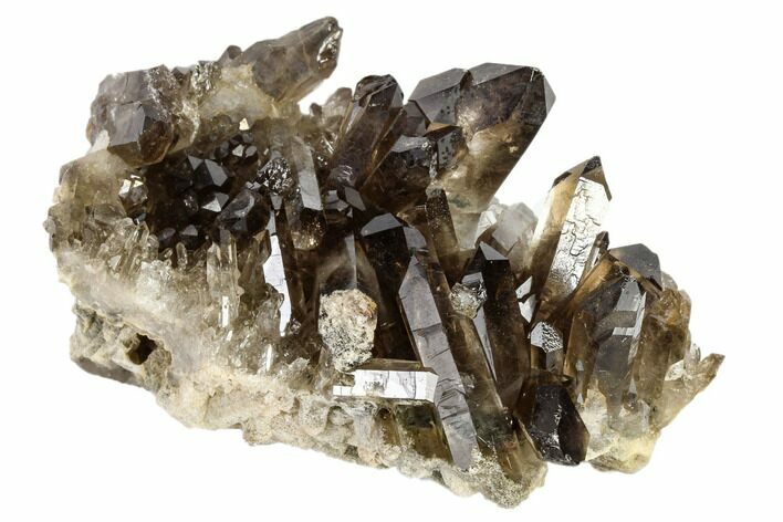 Dark Smoky Quartz Crystal Cluster - Brazil #119547